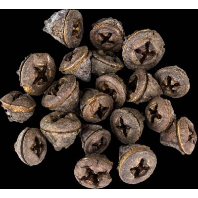 Vánoční Dekorace Eucalyptus Pod 20 ks