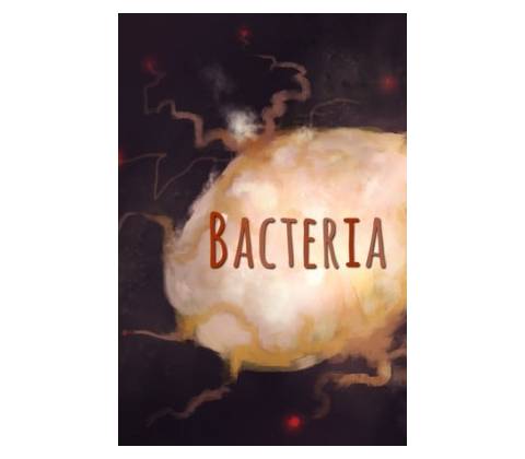 Bacteria