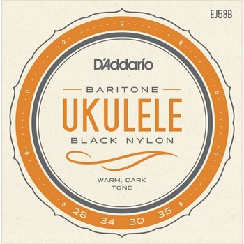 D'addario EJ53B