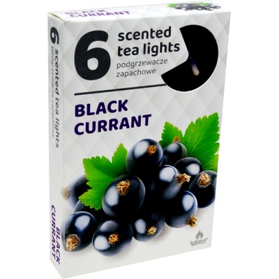 Admit Tea Lights Black Currant 6 ks