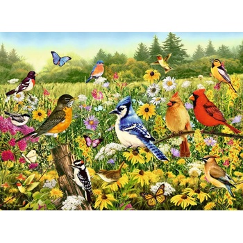 Ravensburger - Puzzle Bird meadow - 500 piese