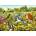 Ravensburger - Puzzle Bird meadow - 500 piese
