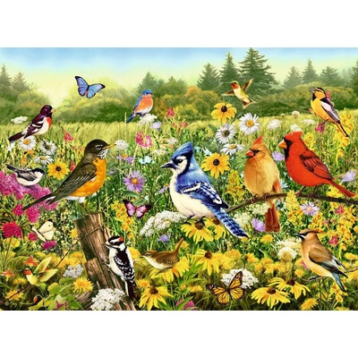 Ravensburger - Puzzle Bird meadow - 500 piese
