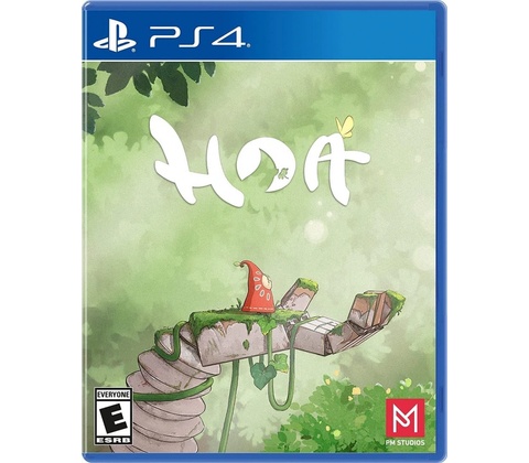Hoa