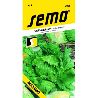 ŠALÁT HLÁVKOVÝ jarný ľadový Maximo