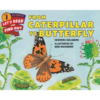 Image 1 of From Caterpillar to Butterfly | Deborah Heiligman