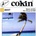 Cokin A037