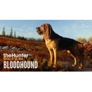 Hry na PC theHunter: Call of the Wild - Bloodhound