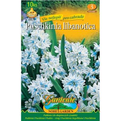 Nohel Garden Puškinie 10ks, cibulovina