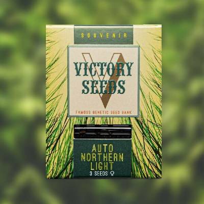 Victory Seeds AUTO Northern Light semena neobsahují THC 10 ks