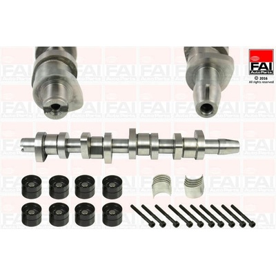 Sada vačkového hřídele FAI AutoParts CSK248C – Sleviste.cz