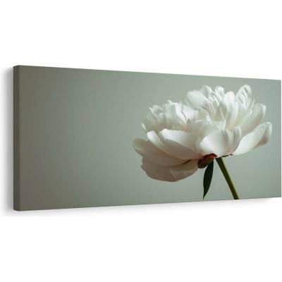 Obraz květinová elegance na bílé - 120x60