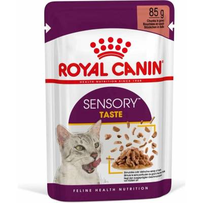 Royal Canin Sensory Taste Gravy 12 × 85 g