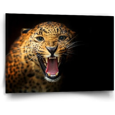 Sablio Obraz Gepard 2 - 90x60 cm