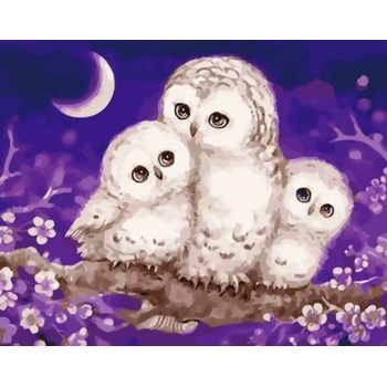 Gaira Malování podle čísel Sovičky