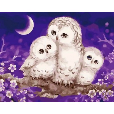 Gaira Malování podle čísel Sovičky