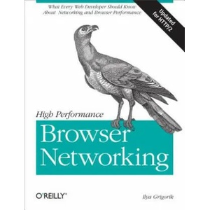 High Performance Browser Networking (2013)