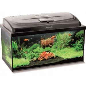 AQUAEL Аквариум Aquael Set Classic BOX 60 PROMO PAP (6546)