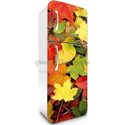 Dimex FR180-025 Samolepící fototapeta na lednice Colourful Leaves rozměry 65 x 180 cm