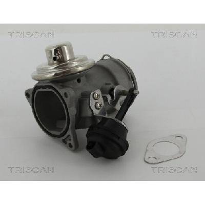 AGR - Ventil TRISCAN 8813 29036