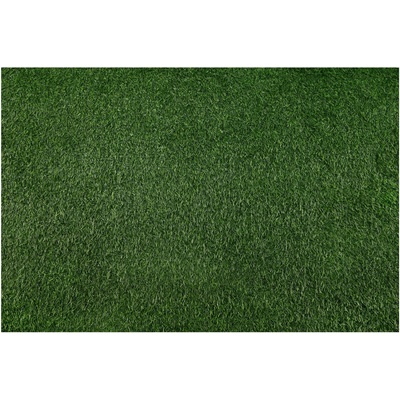 Multidecor Изкуствена трева BELLIN 100x500 cm 18 mm зелена (MU0288)