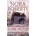 Dark Witch - Roberts, Nora