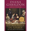 Outlander: Dragonfly in Amber TV Tie-in