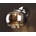 Maxlight W0076-01D