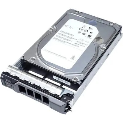 Dell 3.5 2TB 7200RPM SAS 6Gb/s (37MGT)