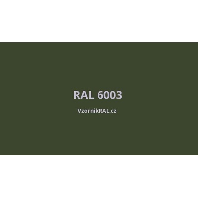 Rokospol Rokosil S 21,9 RAL 60,3 Olivová zelená 1kg