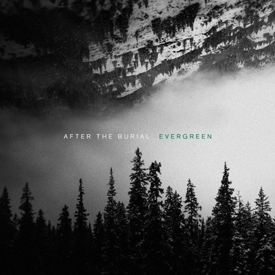 After the Burial - Evergreen (Reissue) LP