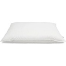 Termop Vankúš Excelent perie/páper 70x90