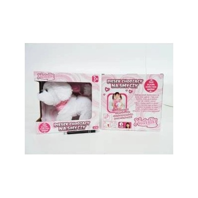 Artyk Doggy walking on a leash White 122408 Natalia