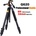 QZSD Beike Q620