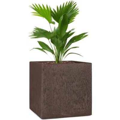 Blumfeldt Solid Grow Rust 40x41x40 cm