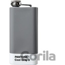 PANTONE Ploskačka — Cool Gray 9
