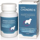 Vitamíny a doplnky stravy pre psov Univit Roboran Chondro 6 60 tbl