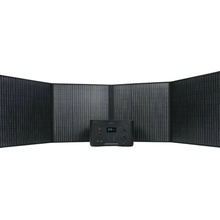 VIBE ALPHA 1000 LFP + EPP 200