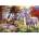 Art Puzzle - Puzzle Hidden Horses - 1 000 piese
