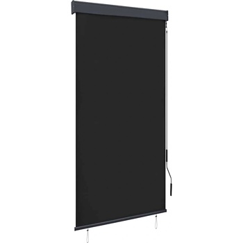 vidaXL Външна ролетна щора, 80x250 см, антрацит (145952)
