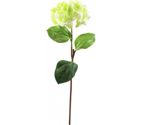 Hortenzie větvička zelená, 76 cm