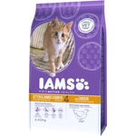 Iams Kitten & Junior 10 kg