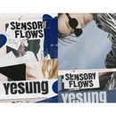 Yesung: Sensory Flows CD
