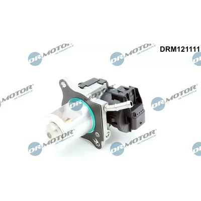 Dr.Motor Automotive AGR ventil DMA DRM121111