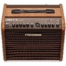 Fishman Loudbox Mini Charge