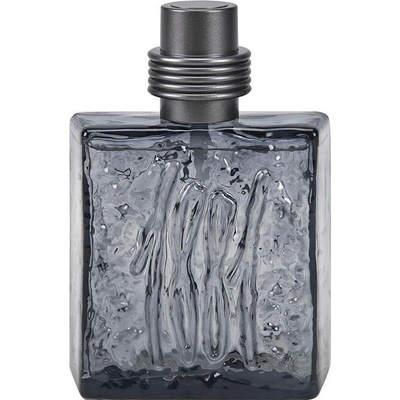 Cerruti 1881 Black toaletní voda pánská 100 ml tester