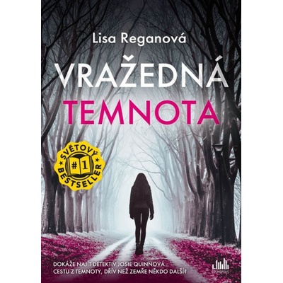 Vražedná temnota - Lisa Regan
