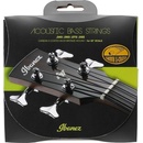 Ibanez IABS4XC32