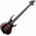 ESP LTD F-1005