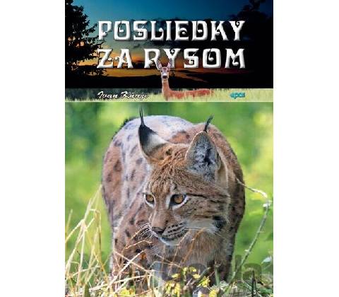 Posliedky za rysom